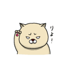 ねことカッパちゃん（個別スタンプ：8）