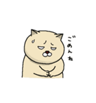 ねことカッパちゃん（個別スタンプ：13）