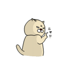 ねことカッパちゃん（個別スタンプ：23）