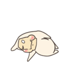 Cholesterol（個別スタンプ：38）