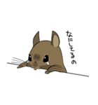 デグーのノエル2（個別スタンプ：7）