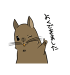 デグーのノエル2（個別スタンプ：19）