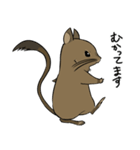 デグーのノエル2（個別スタンプ：33）