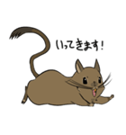 デグーのノエル2（個別スタンプ：36）
