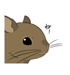 デグーのノエル2（個別スタンプ：40）