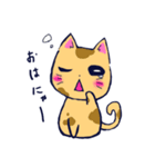 猫の日常。（個別スタンプ：1）