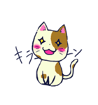 猫の日常。（個別スタンプ：6）