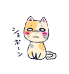 猫の日常。（個別スタンプ：19）