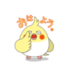 シナモン＆ルッチ（個別スタンプ：1）