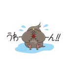 シナモン＆ルッチ（個別スタンプ：10）
