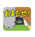 すきまねこ（個別スタンプ：14）