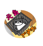 すきまねこ（個別スタンプ：15）