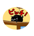 すきまねこ（個別スタンプ：16）