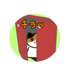 すきまねこ（個別スタンプ：17）