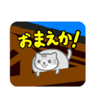 すきまねこ（個別スタンプ：18）