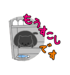 すきまねこ（個別スタンプ：21）