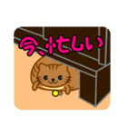 すきまねこ（個別スタンプ：23）