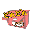 すきまねこ（個別スタンプ：36）