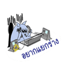 Maruay The Office Cat（個別スタンプ：17）