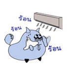 Maruay The Office Cat（個別スタンプ：22）