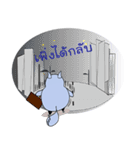 Maruay The Office Cat（個別スタンプ：37）