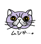 ねこや（個別スタンプ：31）