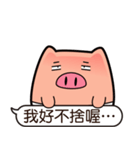 I am Pants Pig 3（個別スタンプ：17）