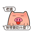 I am Pants Pig 3（個別スタンプ：24）