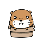 lil Groundhog（個別スタンプ：39）