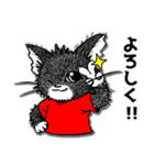 スーパーキャットさん（個別スタンプ：19）