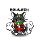 スーパーキャットさん（個別スタンプ：40）