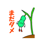ホッコリそらまめさん（個別スタンプ：13）