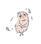 Boo the Gould（個別スタンプ：28）