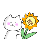 夏に使えるにゃんこ（個別スタンプ：12）