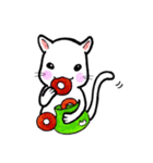 つぶねこさん（個別スタンプ：13）