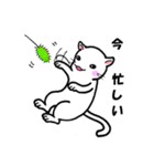 つぶねこさん（個別スタンプ：15）