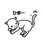 つぶねこさん（個別スタンプ：19）