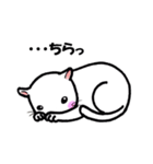 つぶねこさん（個別スタンプ：22）
