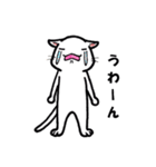 つぶねこさん（個別スタンプ：35）