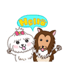 Cash ＆ Ruby (Sheltie＆Mixed)（個別スタンプ：1）