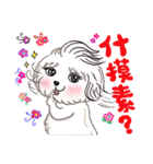 Cash ＆ Ruby (Sheltie＆Mixed)（個別スタンプ：2）
