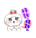 Cash ＆ Ruby (Sheltie＆Mixed)（個別スタンプ：9）