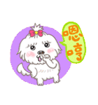 Cash ＆ Ruby (Sheltie＆Mixed)（個別スタンプ：21）