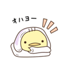 まるっとひよこ（個別スタンプ：1）