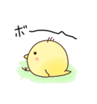 まるっとひよこ（個別スタンプ：4）