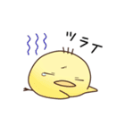 まるっとひよこ（個別スタンプ：11）