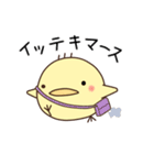 まるっとひよこ（個別スタンプ：21）