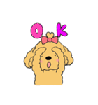 ほんわかトイプードルちゃん（個別スタンプ：1）