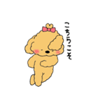 ほんわかトイプードルちゃん（個別スタンプ：5）