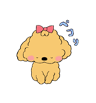 ほんわかトイプードルちゃん（個別スタンプ：6）